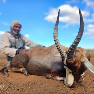 Hunting Blesbok