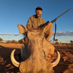 Warthog Hunt South Africa