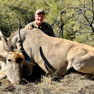 Eland Hunt Namibia