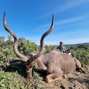 Kudu Hunt Eastern Cape South Africa