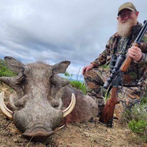 Warthog Hunt Eastern Cape South Africa