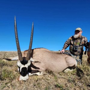 Gemsbok Hunt Eastern Cape South Africa