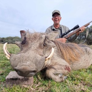 Warthog Hunt Eastern Cape South Africa