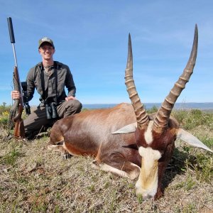 Blesbok Hunt Eastern Cape South Africa