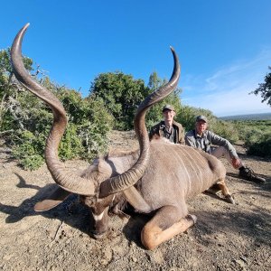 Kudu Hunt Eastern Cape South Africa