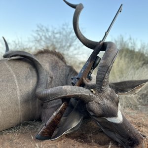 Kudu Hunt South Africa