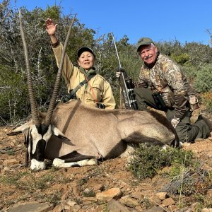 Gemsbok - Eastern Cape