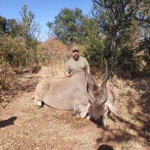 Eland Hunting Zimbabwe