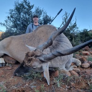 Eland Hunting Karoo South Africa