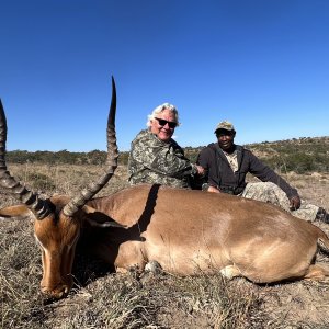 Impala Hunting South Africa