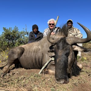 Blue Wildebeest Hunting South Africa