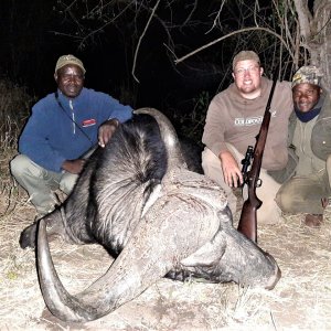 Buffalo Hunting South Africa