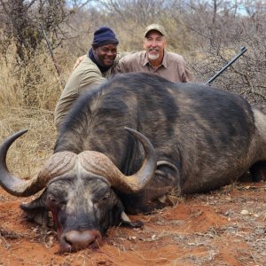 Buffalo Hunting South Africa