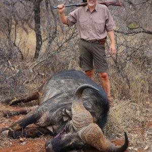 Buffalo Hunting South Africa