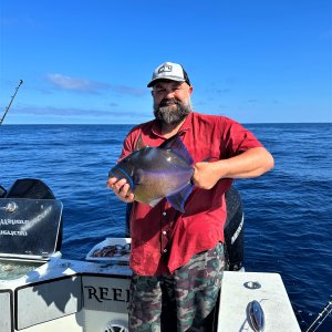 Fishing Queen Triggerfish Florida