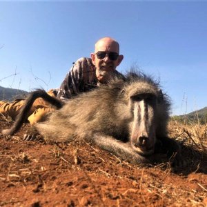 Baboon Hunt South Africa