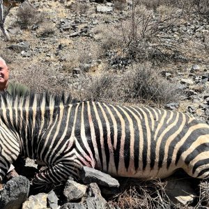 Hartmann's Zebra Hunt Namibia