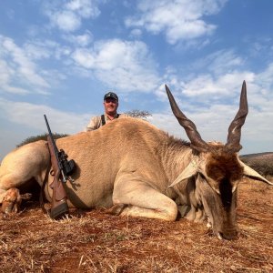 Eland Hunt Limpopo South Africa