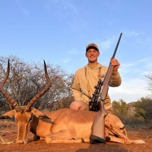 Impala Hunt Limpopo South Africa