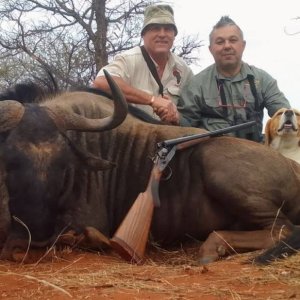 Blue Wildebeest Hunting South Africa