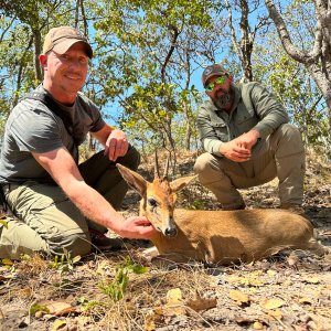 Duiker Hunt Zambia