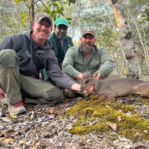 Blue Duiker Hunt Zambia