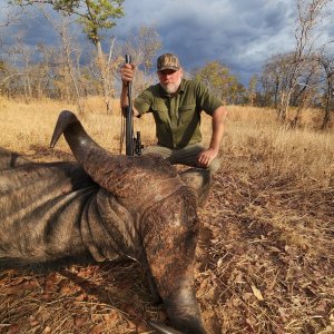 Buffalo Hunting Zimbabwe