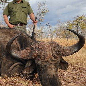 Buffalo Hunting Zimbabwe