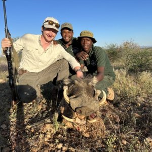 Warthog Hunt Namibia