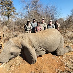 Elephant Hunt Zimbabwe