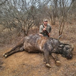 Buffalo Hunt Zimbabwe