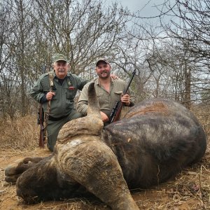 Buffalo Hunt Zimbabwe