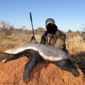 Honey Badger Hunt South Africa