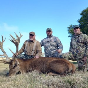 Red Stag Hunt Argentina