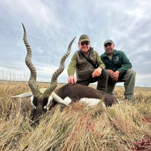 Blackbuck Hunt Argentina