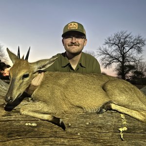 Duiker Hunting South Africa