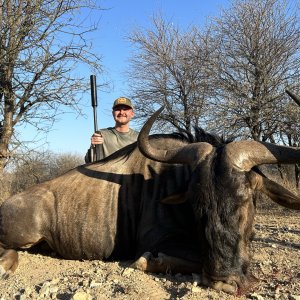 Blue Wildebeest Hunting South Africa