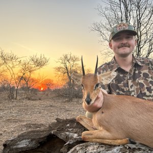 Steenbok Hunting South Africa