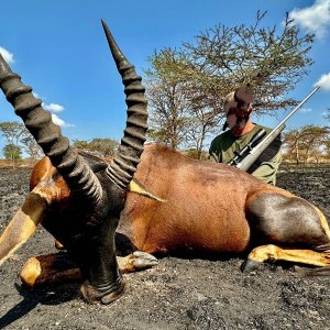 Topi Hunt Uganda