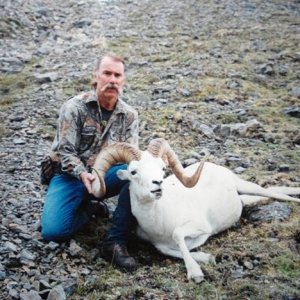 Dall Sheep Hunt