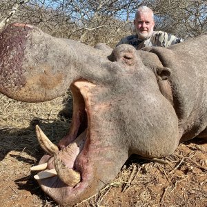 Hippo Hunt South Africa