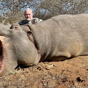 Hippo Hunt South Africa