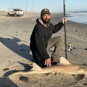 Spotted Gully Shark Surf Fishing Namiba