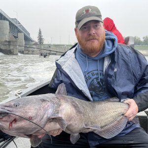 Fishing Catfish Canada