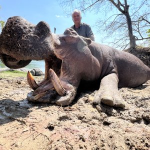 Hippo Hunt Zambia