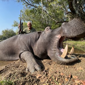 Hippo Hunt Zambia