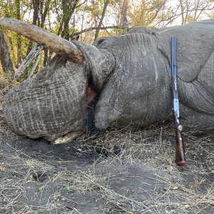 Elephant Hunt Zimbabwe