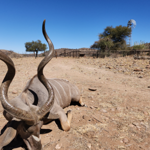 Kudu Hunt Namibia