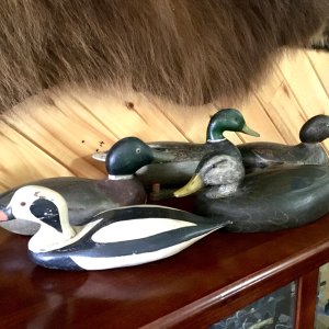 Waterfowl Decoys