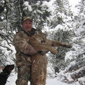 Mountain Lion Hunt